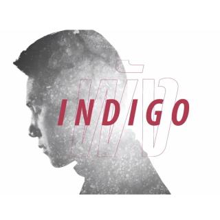Indigo - พัง（崩塌）