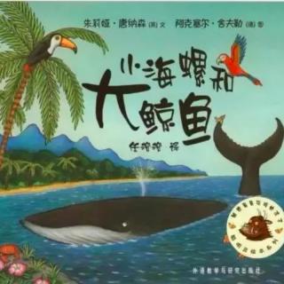 小海螺和大鲸鱼