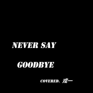 Never say goodbye