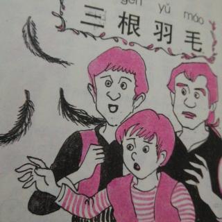 市直幼大一班刘锡垚《三根羽毛》