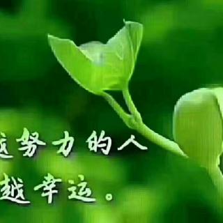 花茵美的销售技巧（八戒）