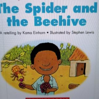 The spider and the beehive