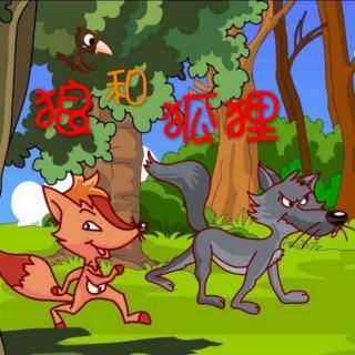 《狼和狐狸》48