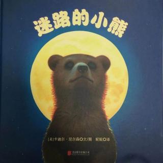 幼专金海湾幼儿园 谢老师—《迷路的小熊》