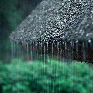 治愈系风声和雨声