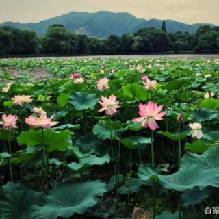 祭悧浰头山神文