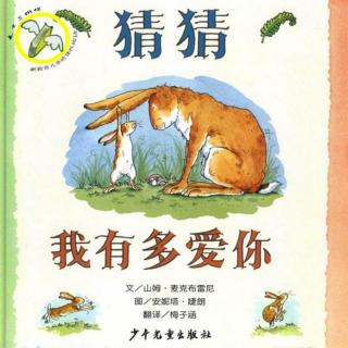 绘本故事《猜猜我有多爱你》