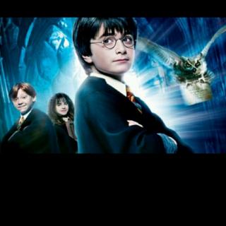 Harry Potter14