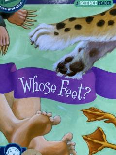 Ni 【Vol 83】Whose Feet？（SL 1F）