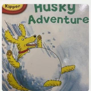 Husky Adventure—陈晓萌（来自FM16230032）