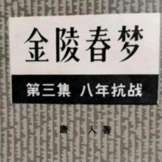 《金陵春梦》第三集第七回