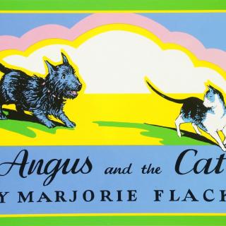 2020.09.01-Angus and the Cat