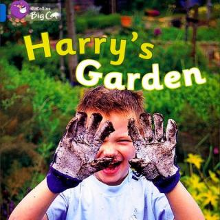 Harry's Garden