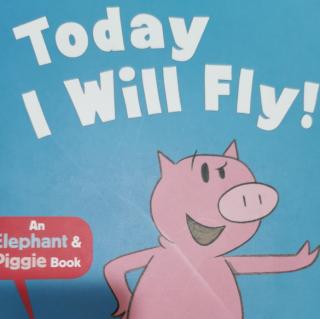 Today I will fly