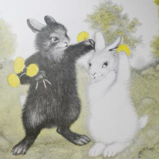 长幼糖糖《黑兔和白兔》绘本分享