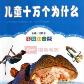 【儿童十万个为什么】010为什么河马的五官长在头顶？