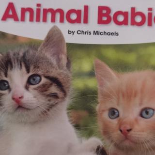 Newmark Learning-Animal babies