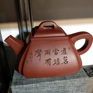 周轶演说茶文化：茶树的形态结构（二）