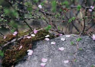 【卡拉扬指挥】奥芬巴赫《霍夫曼的故事》