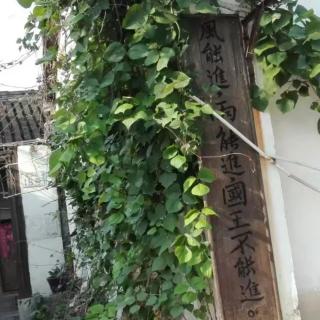 过青果巷