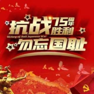 庆祝中国抗战反法西斯胜利75周年《永远不会忘记》