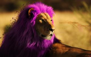 《紫丝线织紫狮子》声音：张杨
