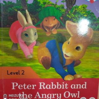 Day 211 - Peter Rabbit and the Angry Owl