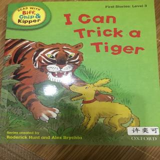 I canTrick a Tiger