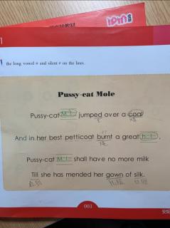 Pussy-cat Mole