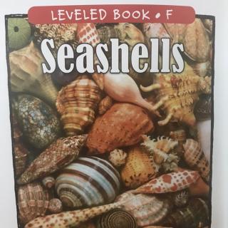 RAZ LevelF 404 - Seashells