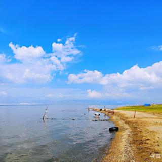 《青海湖》作者碑林路人