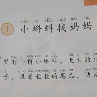 第一课及二类字