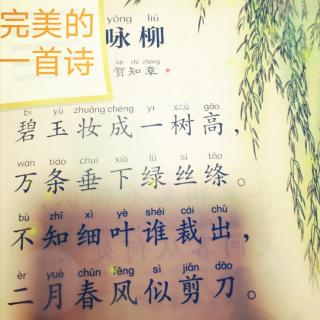 徐梓玥  咏柳