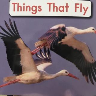 海尼曼 LeveIB Book2 - Things That FIy