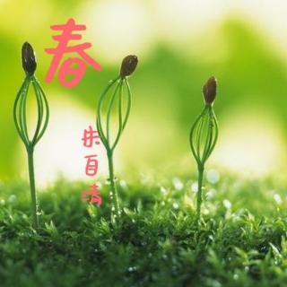 紫芸樱:再读《春》——朱自清