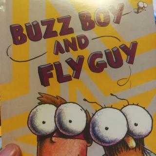 buzz boy and fly guy