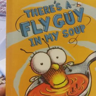 there's a fly guy in my soup