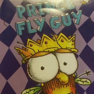 prince fly guy