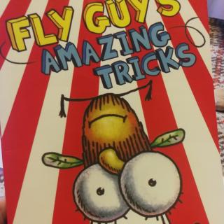 fly guy' amazing tricks
