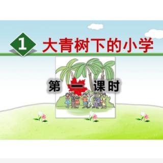 《大青树下的小学》课文