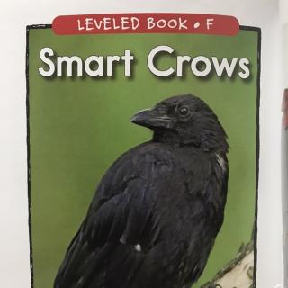 RAZ LevelF 406 - Smart Crows