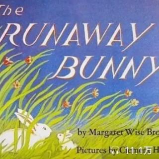 13.The runaway Bunny