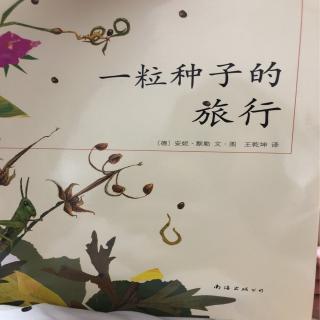 一粒种子的旅行