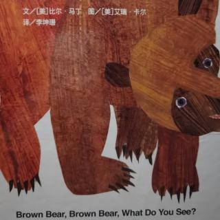 Brown bear for J