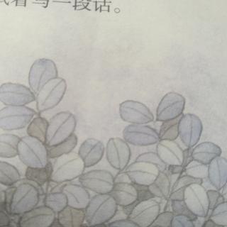 2.落花生