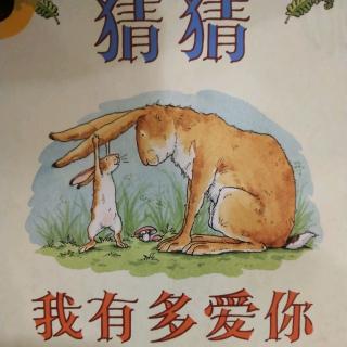 《猜猜我有多爱你》