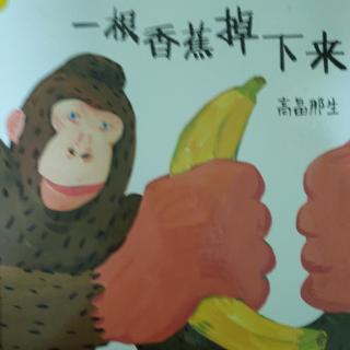 《一根香蕉掉下来》~幼稚绘晚安绘本故事