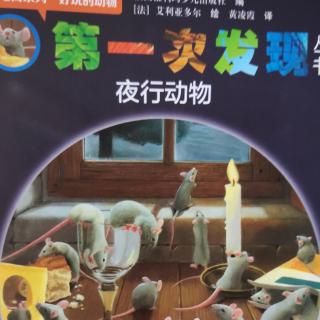 第一次发现   夜行动物