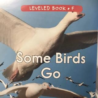 RAZ LevelF 408 - Some Birds Go