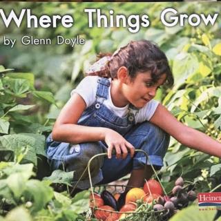 海尼曼 LevelC Book9 - Where Things Grow